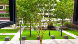 Blk 220B Bedok Central (Bedok), HDB 4 Rooms #157114072